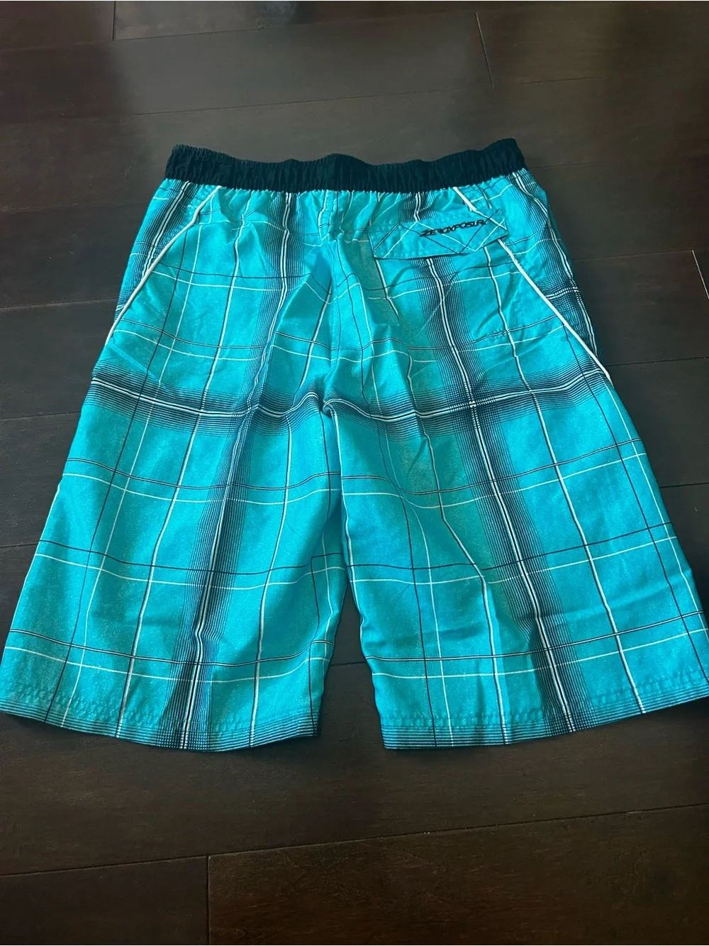 ZeroXposur swim shorts